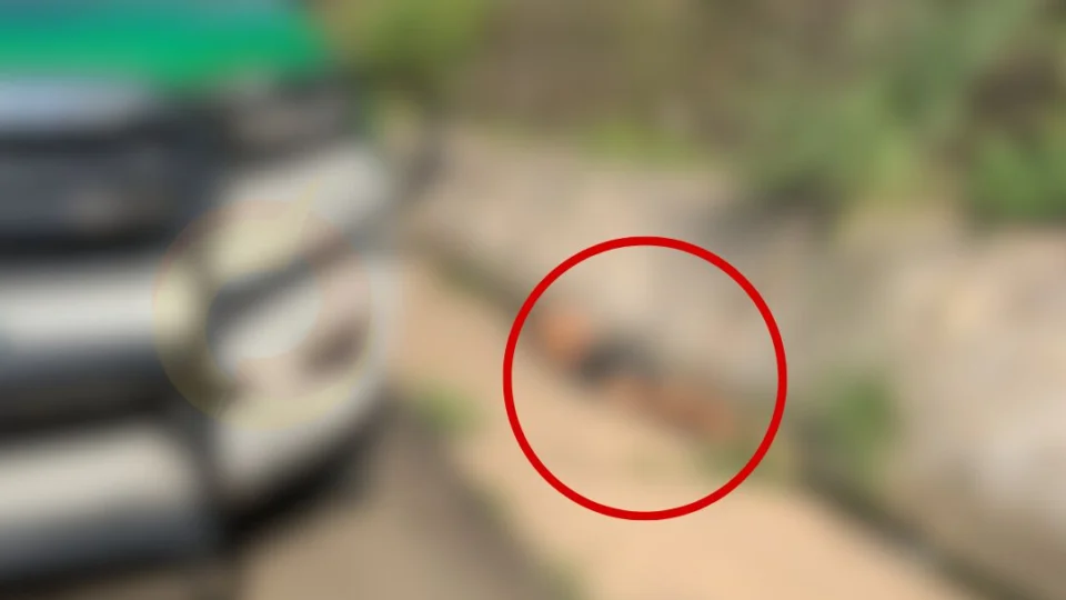 Homem é desovado ao lado de córrego no bairro da Glória; Veja vídeo