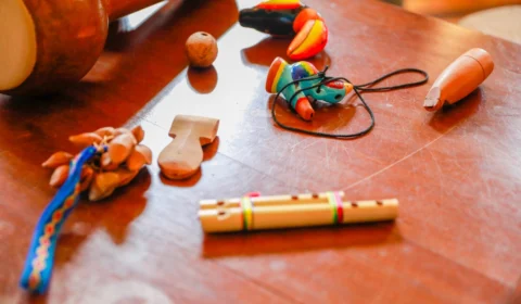 Liceu oferece curso inédito para confecção de bioinstrumentos musicais da natureza amazônica