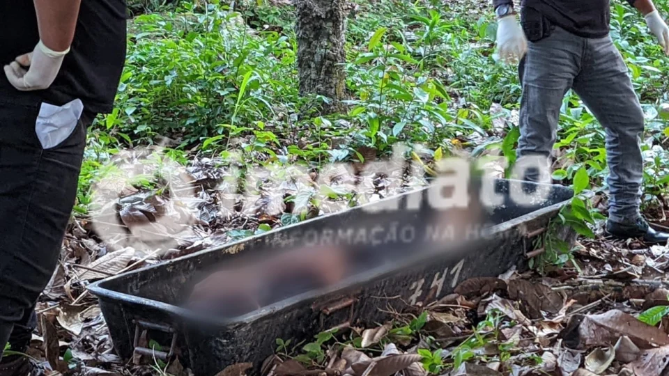 Homem é levado para área de mata e executado na zona leste de Manaus