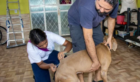 Campanha antirrábica deve vacinar 11 mil animais na zona rural de Manaus