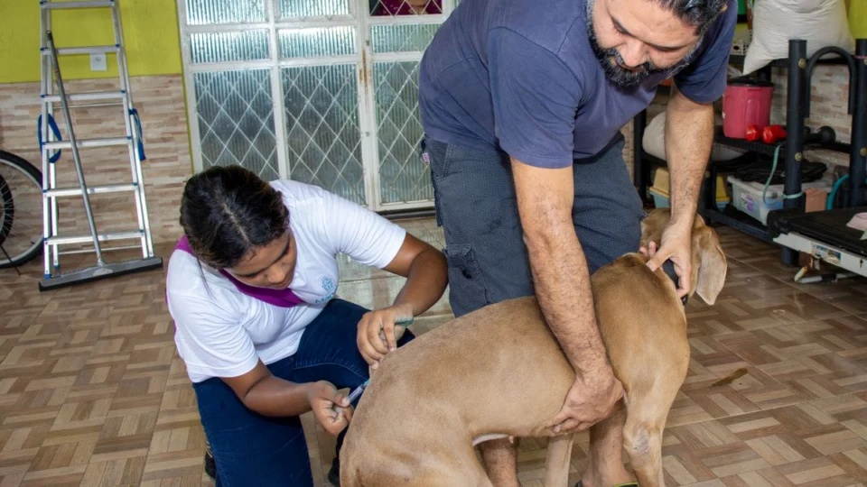 Campanha antirrábica deve vacinar 11 mil animais na zona rural de Manaus