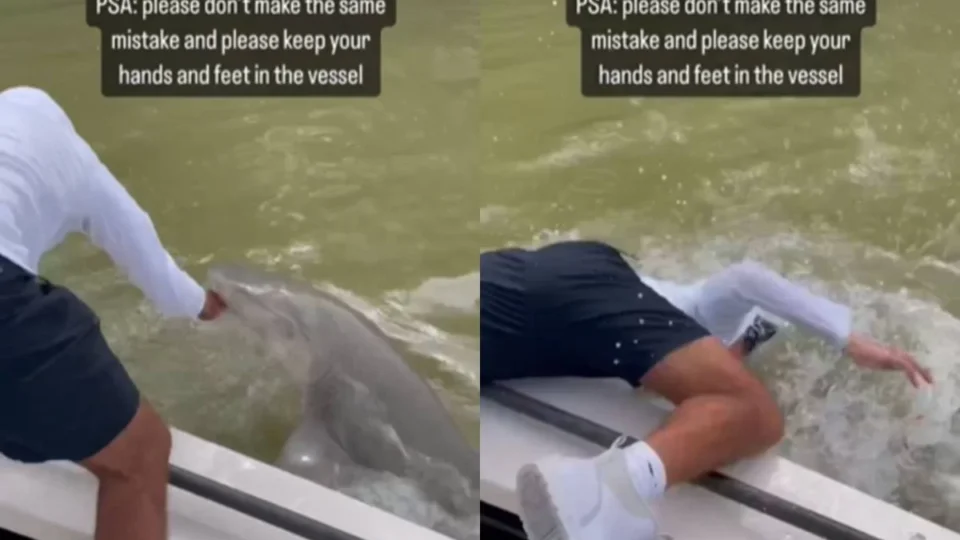 VEJA VÍDEO: tubarão abocanha braço de pescador e o puxa para a água