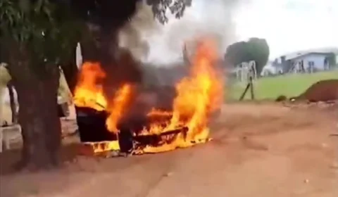 VÍDEO: Homem tenta espantar enxame de abelhas e acaba incendiando carro de luxo