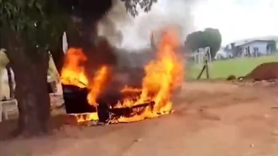 VÍDEO: Homem tenta espantar enxame de abelhas e acaba incendiando carro de luxo