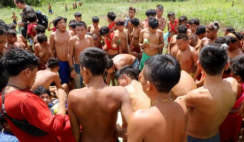 “Comissão dos Yanomami” no senado apresenta conclusão dos trabalhos nesta terça (13)