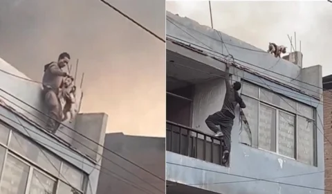 VEJA VÍDEO: morador em situação de rua resgata 27 cães de incêndio em prédio