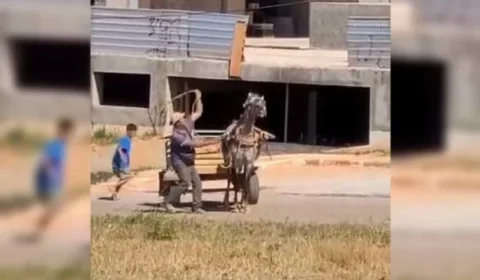 VEJA VÍDEO: carroceiro é flagrado espancando cavalo com chicote