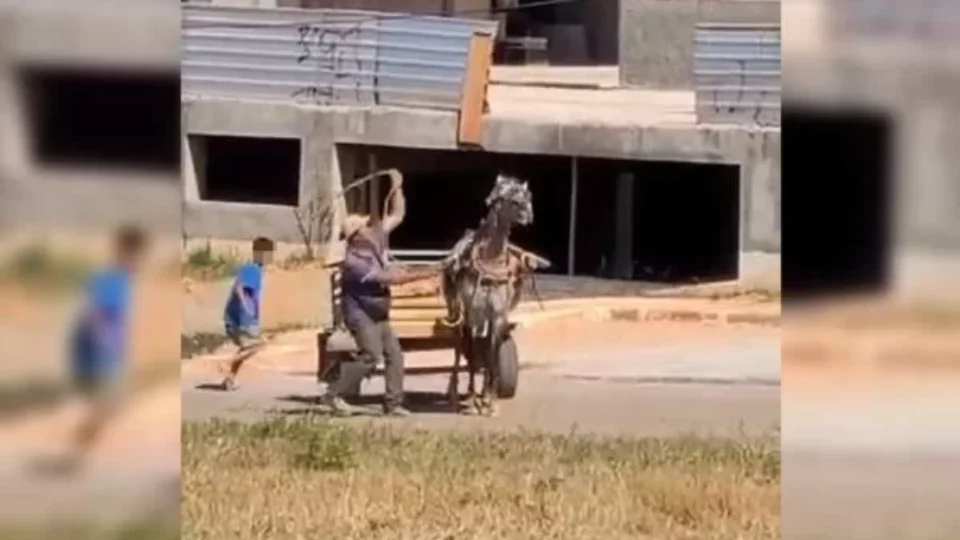 VEJA VÍDEO: carroceiro é flagrado espancando cavalo com chicote