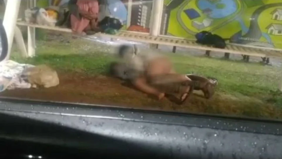 VEJA VÍDEO: casal é flagrado fazendo sexo com direito a plateia em ponto de ônibus