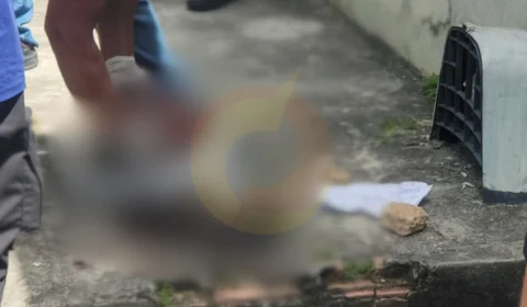 Cabeça encontrada teve várias perfurações de arma branca; VEJA: