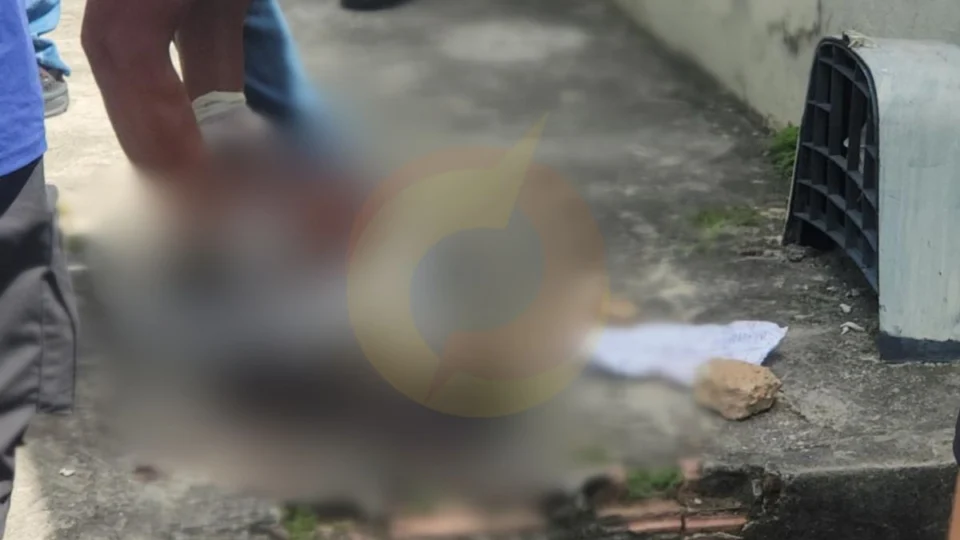 Cabeça encontrada teve várias perfurações de arma branca; VEJA: