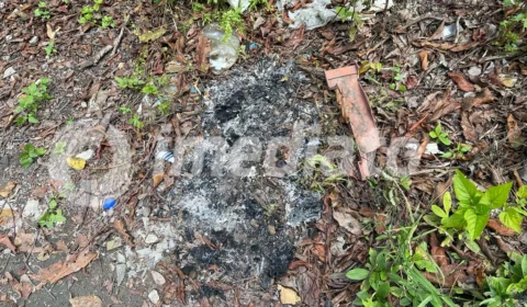 Moradores encontram homem agonizando em área de mata no Santa Etelvina