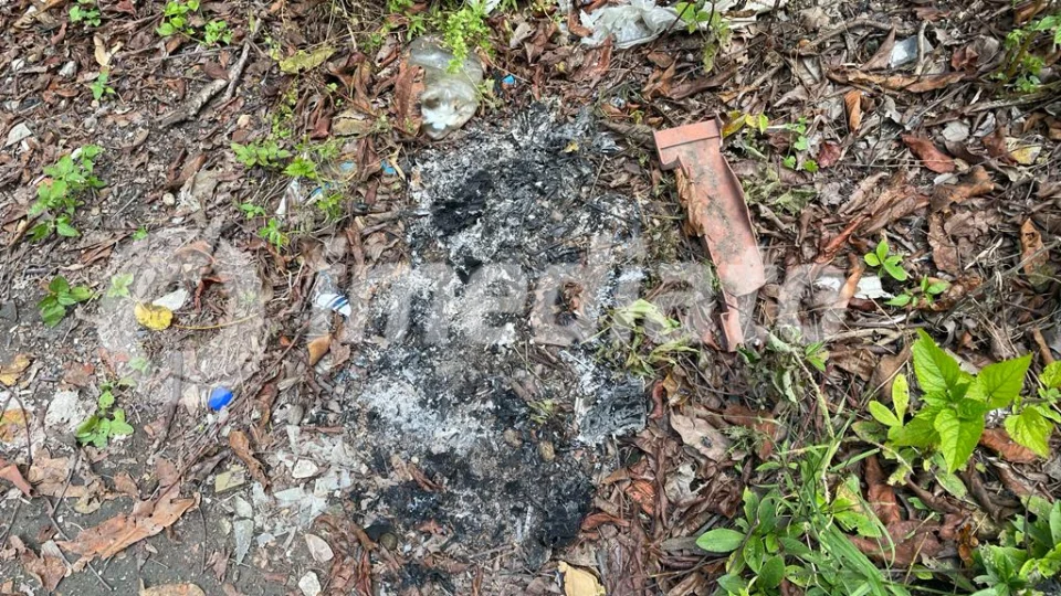 Moradores encontram homem agonizando em área de mata no Santa Etelvina