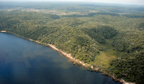 Amazonas tem queda de 682,57 km² em desmatamento entre janeiro e junho de 2023