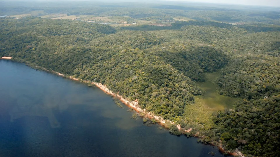 Amazonas tem queda de 682,57 km² em desmatamento entre janeiro e junho de 2023