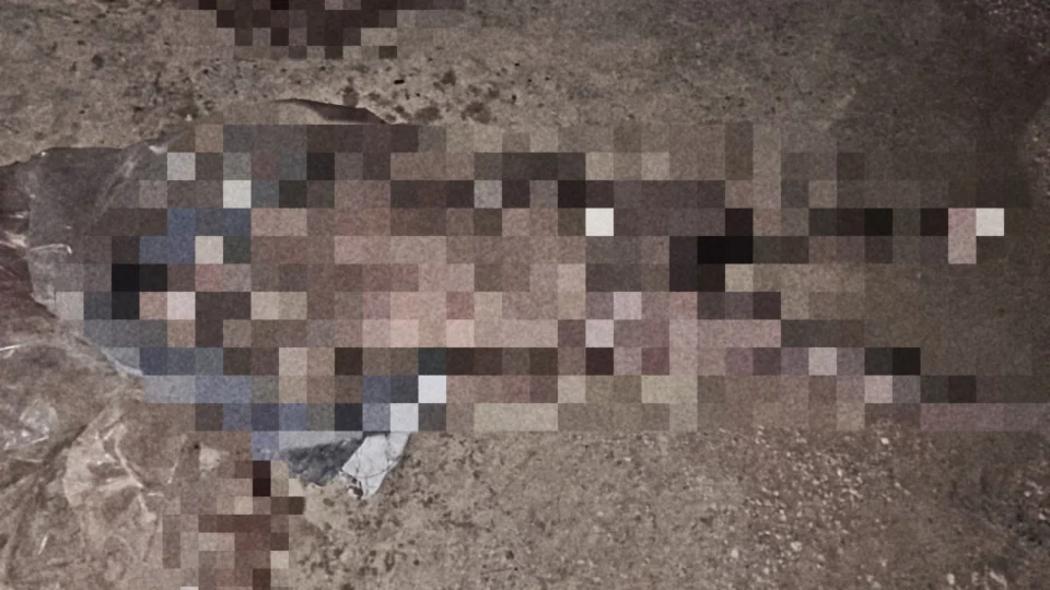 Corpo é desovado em ramal na comunidade Novo Mundo, AM-070