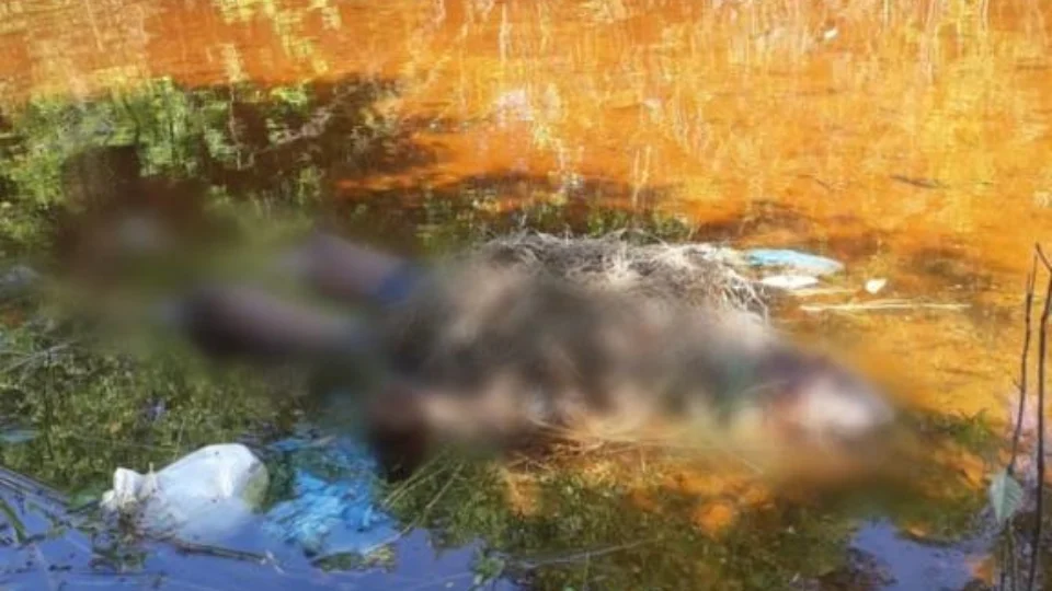 Corpo de mulher é encontrado boiando em lago com mãos amarradas e marcas de tortura