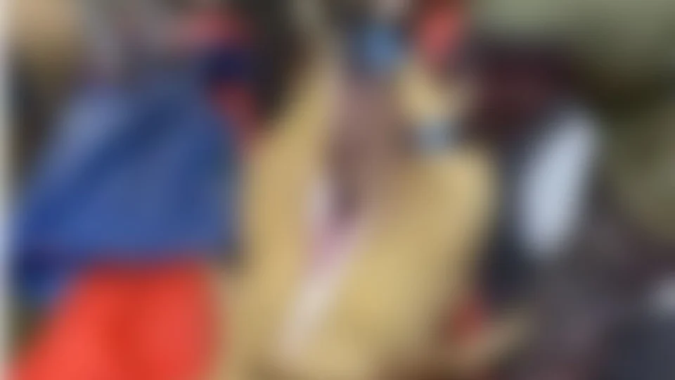 Restos mortais de homem desaparecido é encontrado no estômago de crocodilo