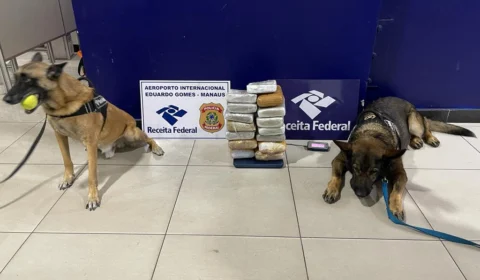 Receita Federal apreende 8,5 quilos de maconha camuflada em polpa de açaí no Aeroporto de Manaus
