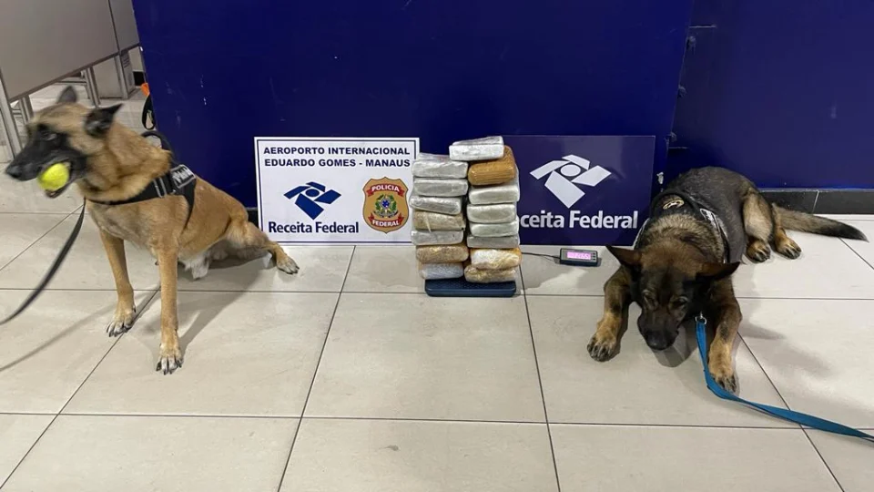 Receita Federal apreende 8,5 quilos de maconha camuflada em polpa de açaí no Aeroporto de Manaus