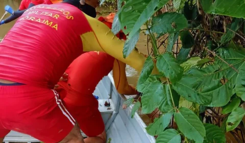 Corpo de criança morta em ataque a comunidade indígena é encontrado