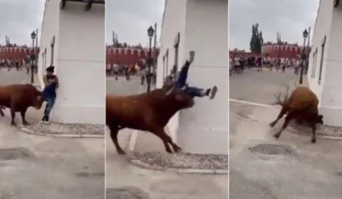 VEJA VÍDEO: touro enfurecido ataca mulher que estava distraída com o celular