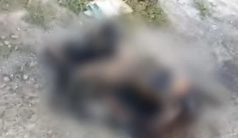 VEJA VÍDEO: “Eles vão me matar”, disse professora em ligação para a mãe antes de ser morta