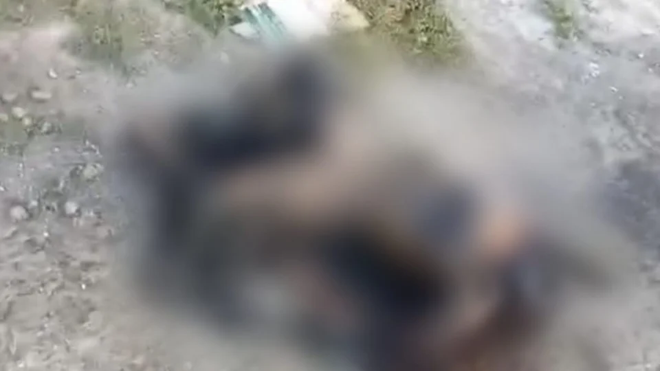 VEJA VÍDEO: “Eles vão me matar”, disse professora em ligação para a mãe antes de ser morta