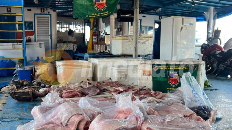 Crime Ambiental: Pirarucu, tracajá, Paca e pescado são apreendidos em embarcação no São Raimundo