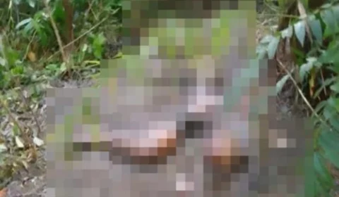 Corpo é encontrado em avançado estado de decomposição no interior do Amazonas