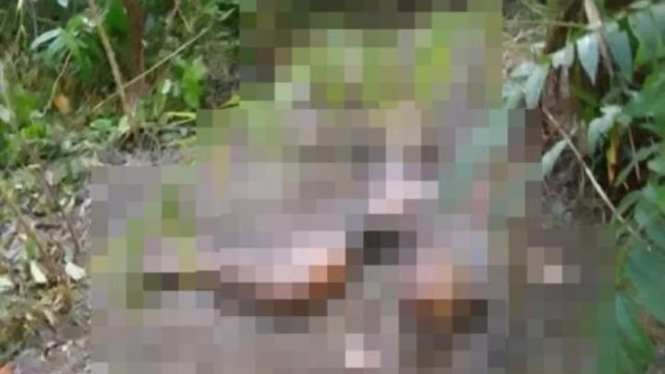 Corpo é encontrado em avançado estado de decomposição no interior do Amazonas