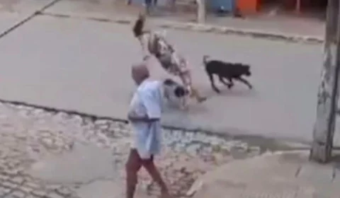 VEJA VÍDEO: mulher leva tombo após ser ‘atropelada’ por dois cachorros
