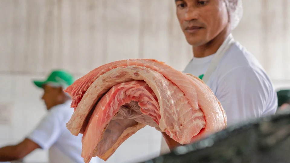 Nova edição da Feira do Pirarucu ocorre neste fim de semana em Manaus