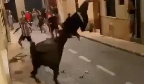 Impressionante: veja o momento em que adolescente é atacado por touro