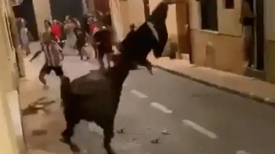 Impressionante: veja o momento em que adolescente é atacado por touro