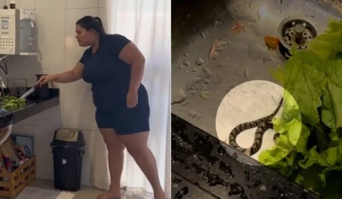 VEJA VÍDEO: amigas gravam receita e tomam susto com serpente escondida em alface