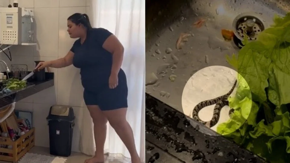 VEJA VÍDEO: amigas gravam receita e tomam susto com serpente escondida em alface