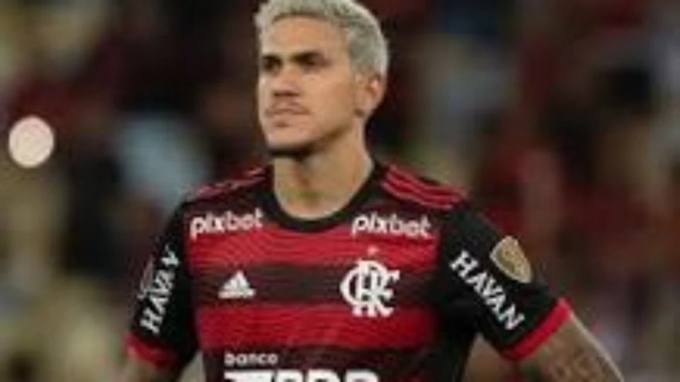 Pedro é punido pelo flamengo e não joga nesta quinta-feira pela libertadores