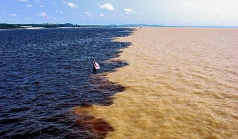 Nível do Rio Negro desce mais de 20 cm por dia em Manaus