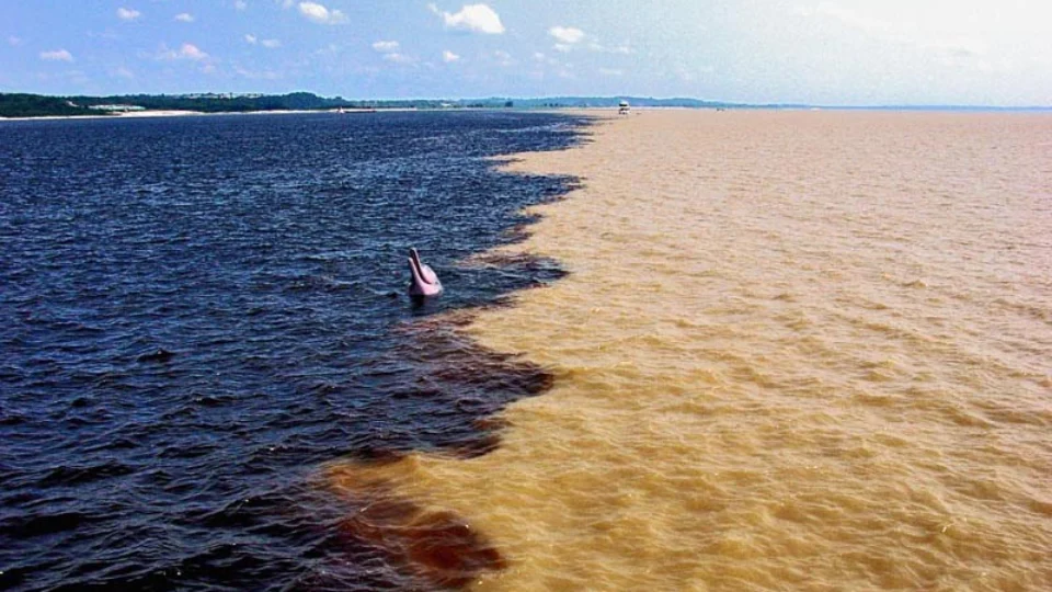 Nível do Rio Negro desce mais de 20 cm por dia em Manaus