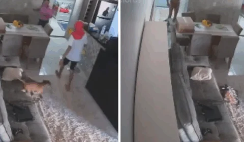 VEJA VÍDEOS: mulher manda matar marido, mas esquece câmeras ligadas