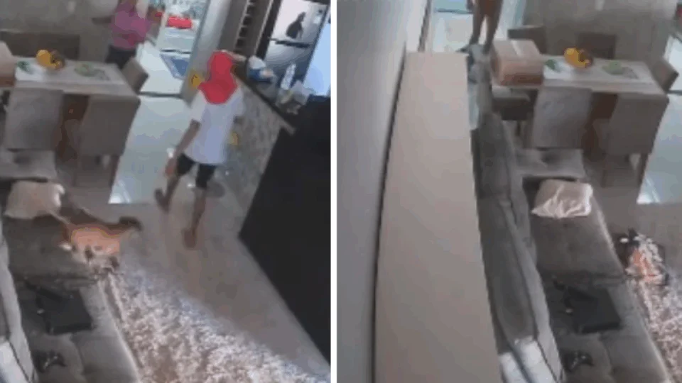 VEJA VÍDEOS: mulher manda matar marido, mas esquece câmeras ligadas