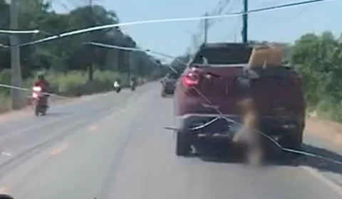 Cadela caramelo é morta após ser enforcada e arrastada por rua no Amazonas