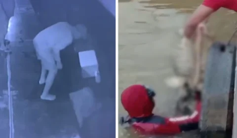 VEJA VÍDEO: homem cai no rio e bombeiros encontram apenas esqueleto