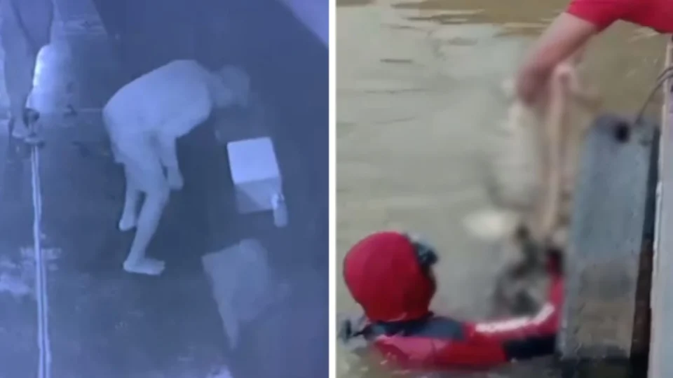 VEJA VÍDEO: homem cai no rio e bombeiros encontram apenas esqueleto