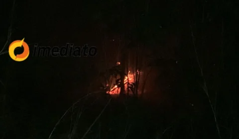 Veja Vídeos: Incêndio atinge área de matagal no Cacau Pirêra