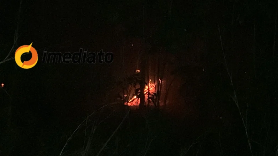 Veja Vídeos: Incêndio atinge área de matagal no Cacau Pirêra