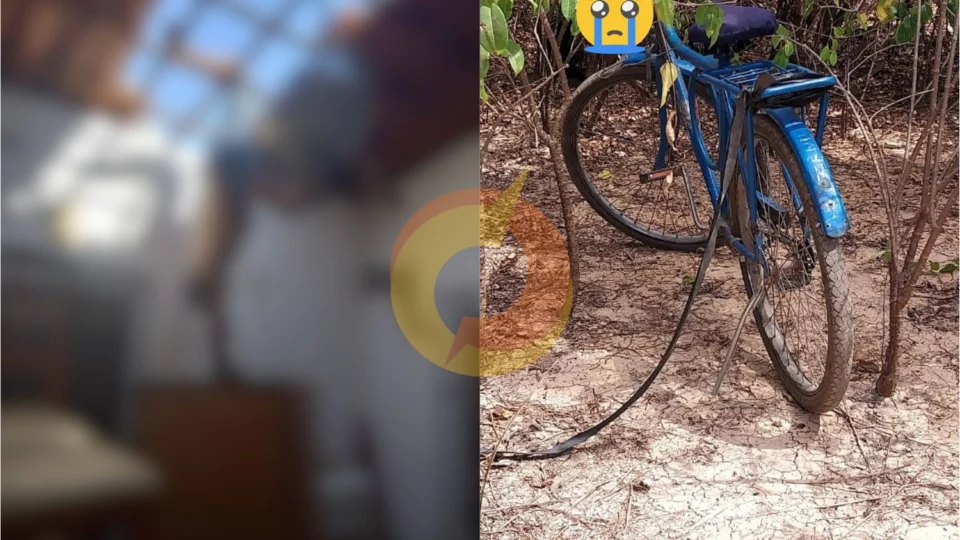 Vídeo forte: homem tenta roubar botija de gás e acaba morrendo em cima de telhado