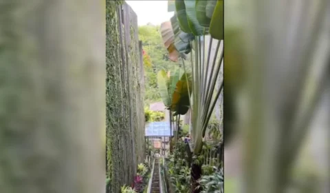 Elevador de resort despenca 90 metros, deixando cinco mortos; Veja vídeo