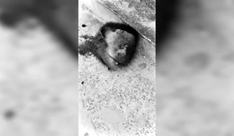 Cabeça encontrada no rip rap do Campo Sales